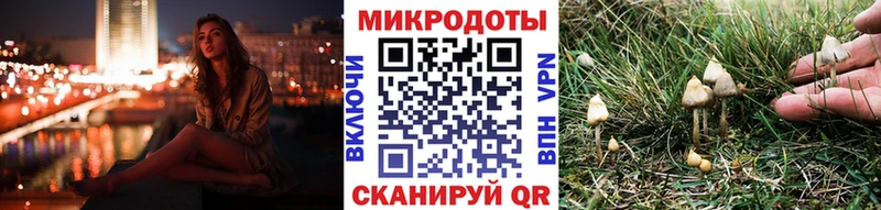Галлюциногенные грибы Psilocybine cubensis  купить наркоту  Заводоуковск 