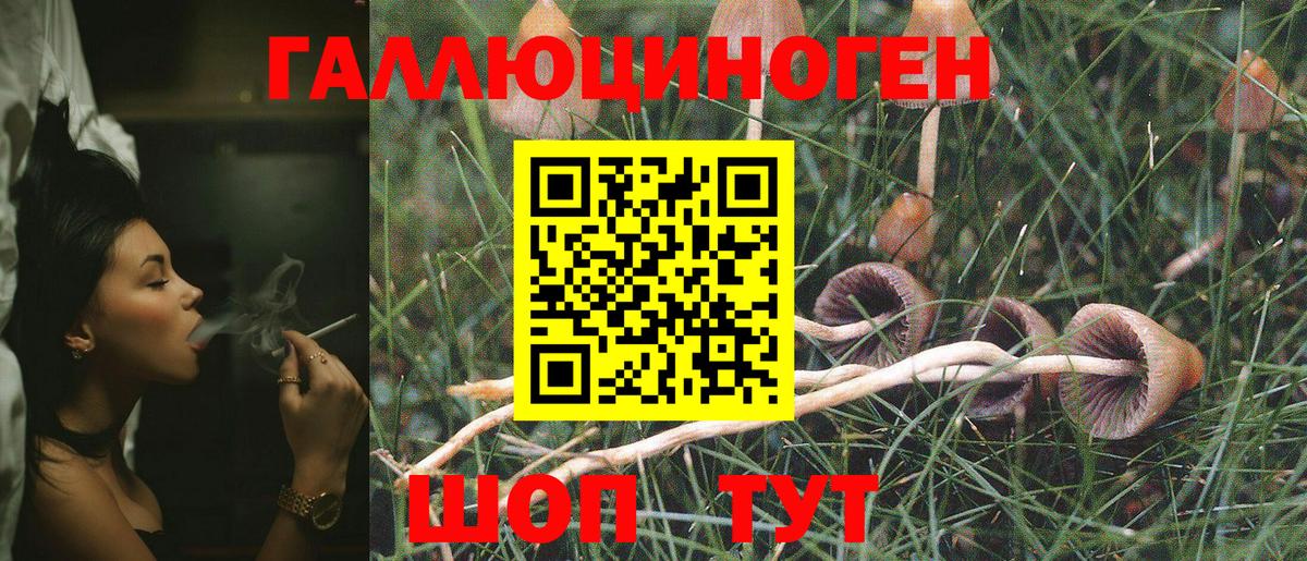 Галлюциногенные грибы прущие грибы  Вход с VPN  Заводоуковск 